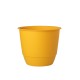 POT JOY