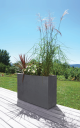 LOFT L BASALT