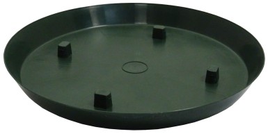 SOUCOUPE MILLESIA