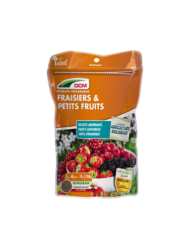 DCM ENG FRAISES & PETITS...