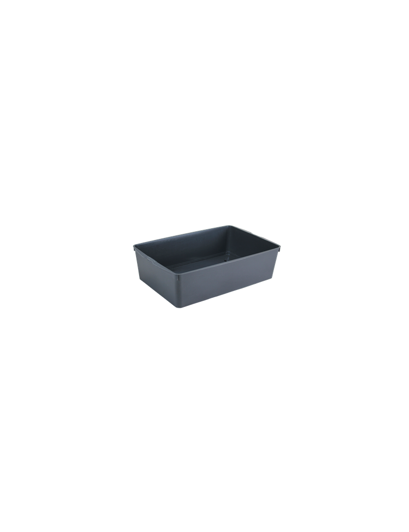 CLAYETTE PM 6 FPCP
