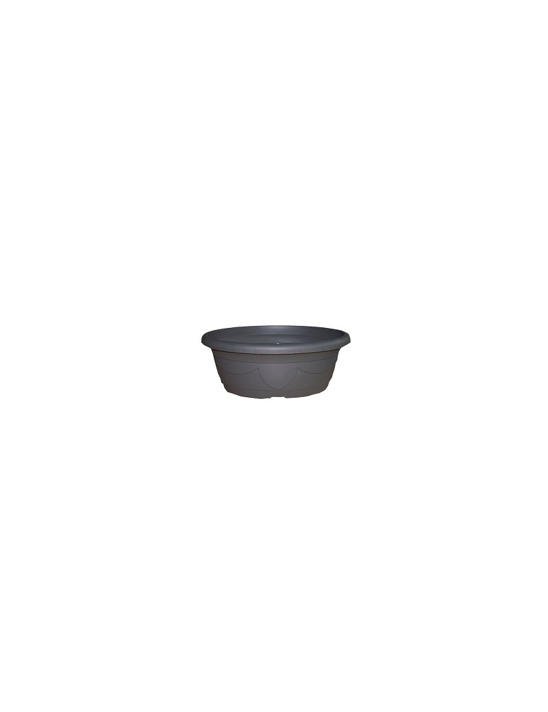COUPE LIZA OVALE