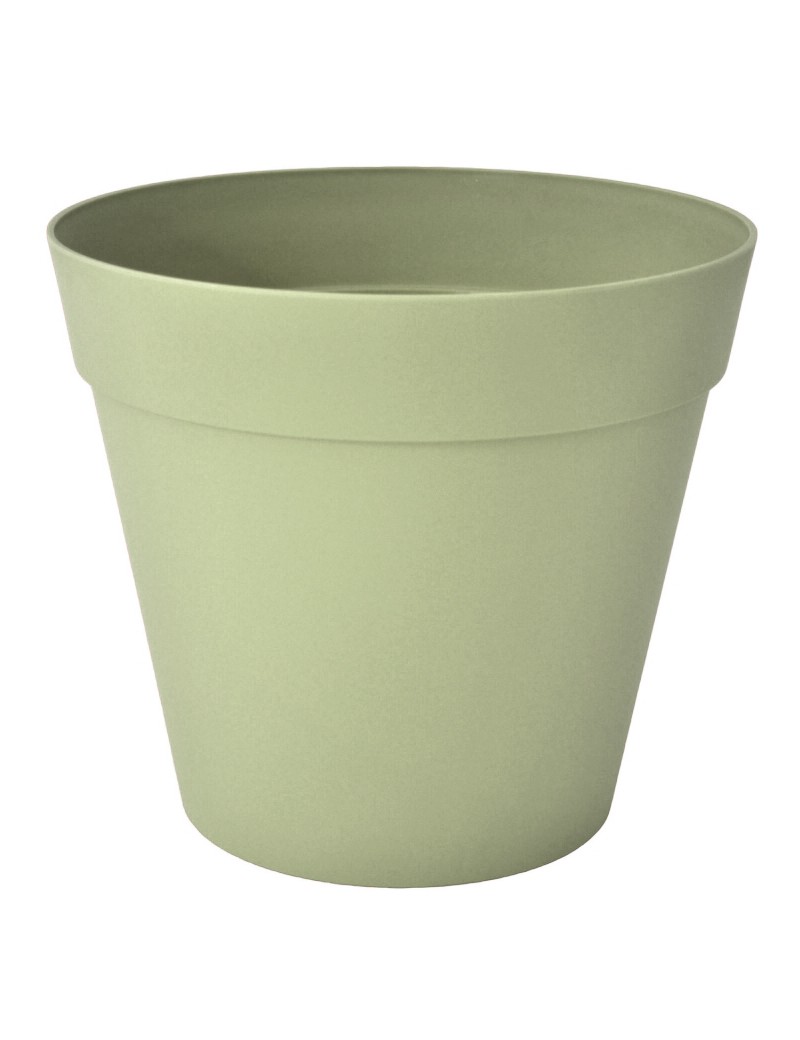 POT CHICAGO