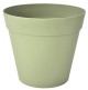 POT CHICAGO
