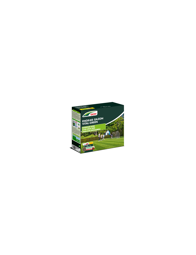 DCM ENG GAZON VITAL GREEN 3KG