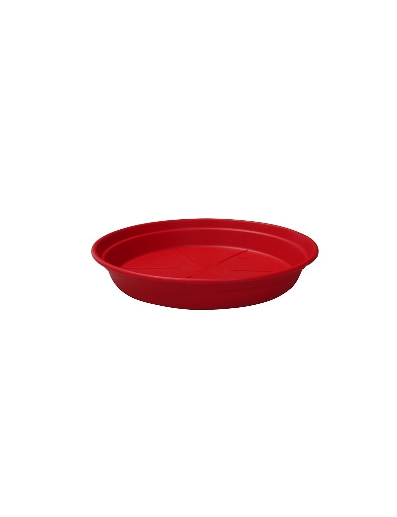 SOUCOUPE COCORIPOT