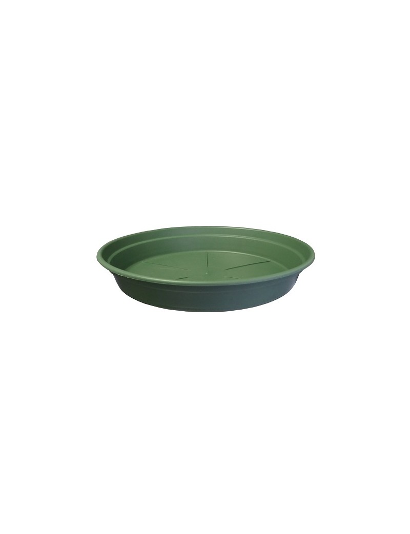 SOUCOUPE COCORIPOT