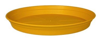 SOUCOUPE COCORIPOT