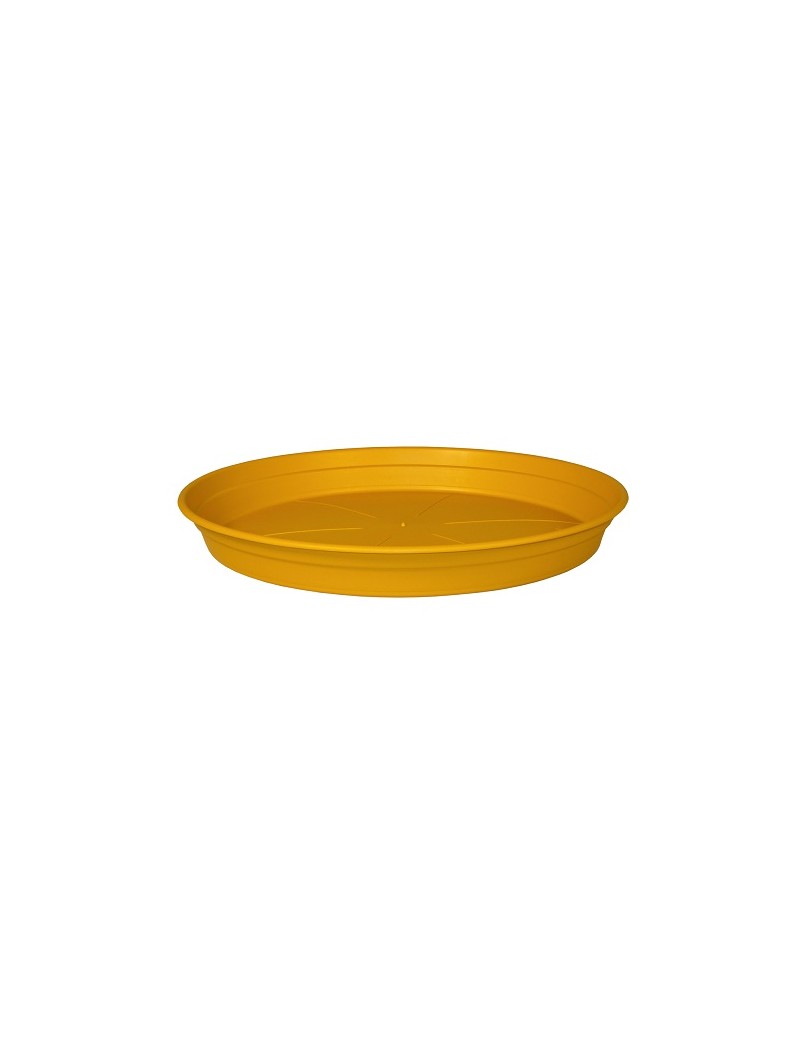 SOUCOUPE COCORIPOT