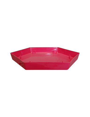 SOUCOUPE OCEA