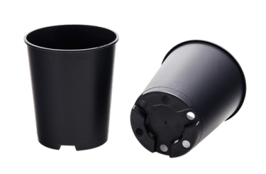 CONT ROSIER 1L SH 11.7 X 13.5