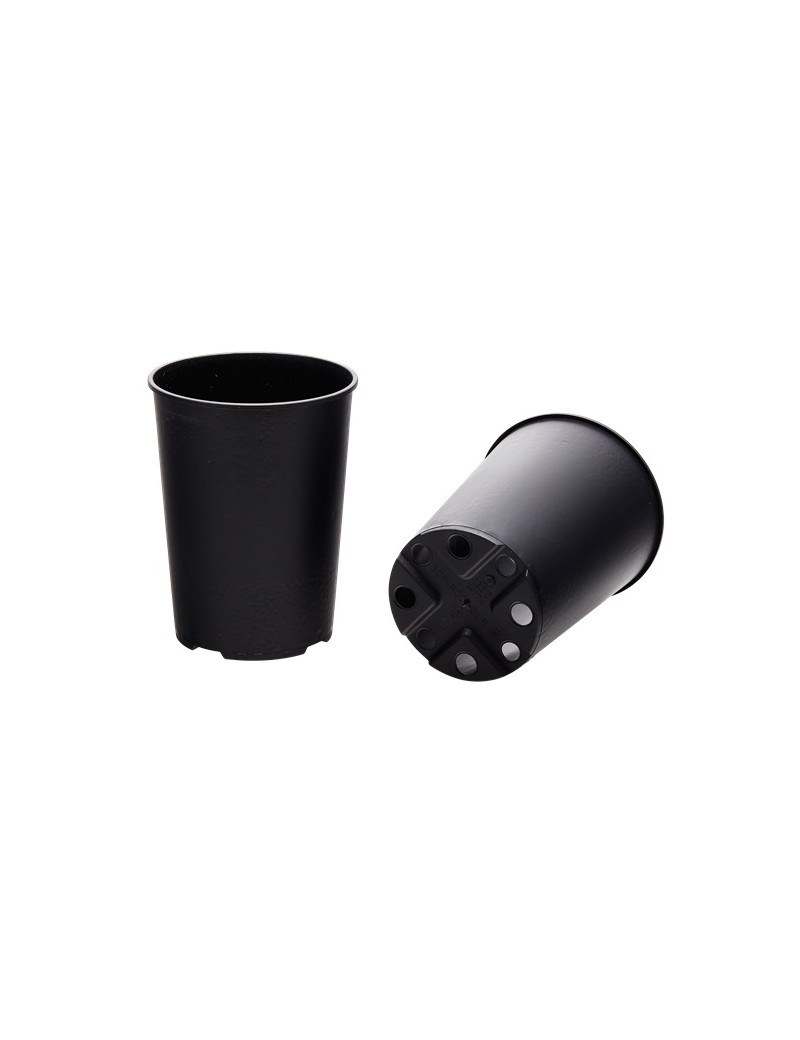 CONT ROSIER 2L ETROIT SH 13.9 X 18