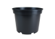 CONT 4L SX  20.9 X 16.2