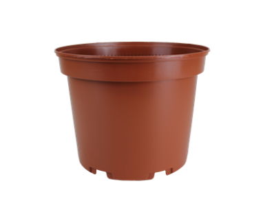 CONT 5L SX  22.6 X 18