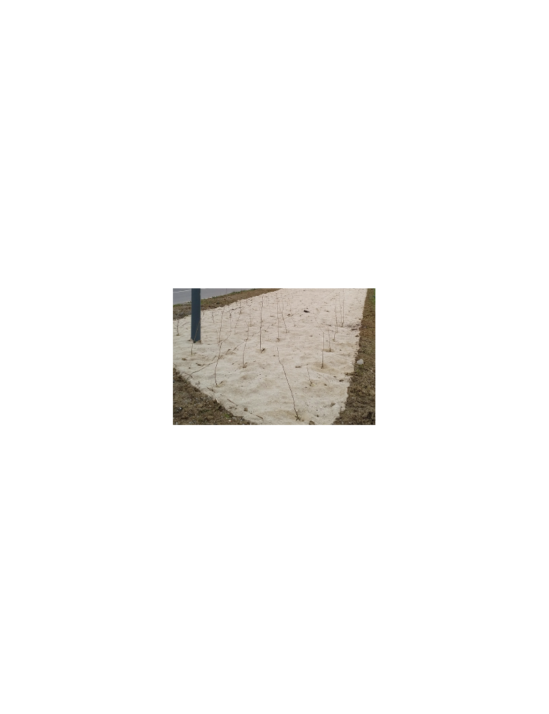 TOILE THORENAP NATUREL BIODEGR. 1000G/M2