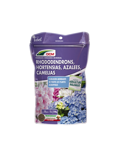 DCM ENG RHODO HORTENSIA...