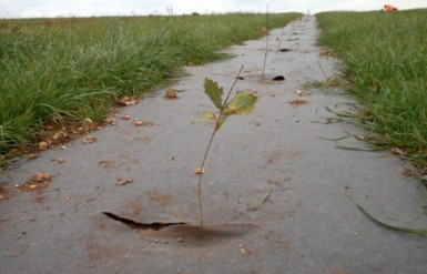 FEUTRE 95% PLA 5% CHANVRE...