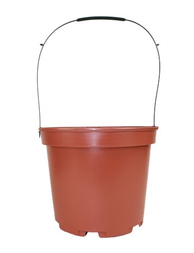 ANSE DE PORTAGE 78 CM