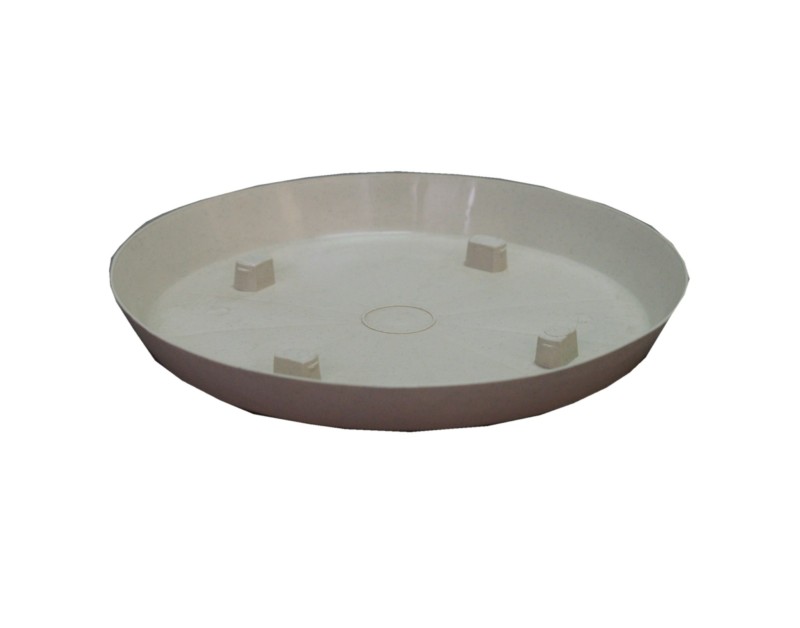 SOUCOUPE MILLESIA