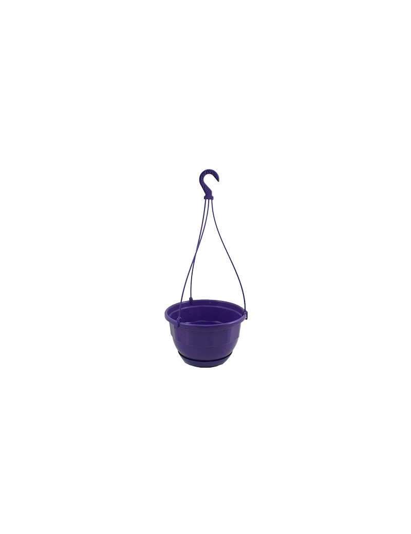 SUSPENSION DIVINA+SOUCOUPE CLIPPEE
