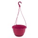 SUSPENSION DIVINA+SOUCOUPE CLIPPEE