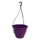 SUSPENSION CREOLIA + TRINGLE 42CM