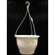 SUSPENSION CREOLIA + TRINGLE 42CM