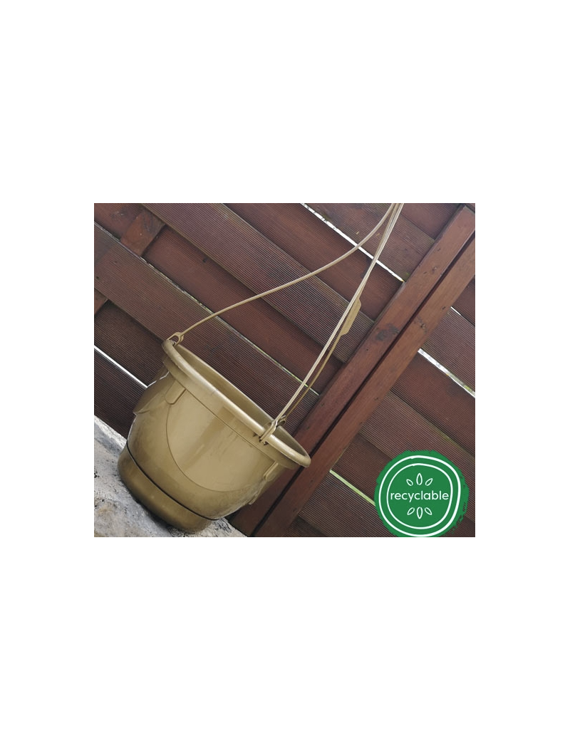 SUSPENSION CREOLIA + TRINGLE 42CM