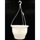 SUSPENSION CREOLIA + TRINGLE 42CM