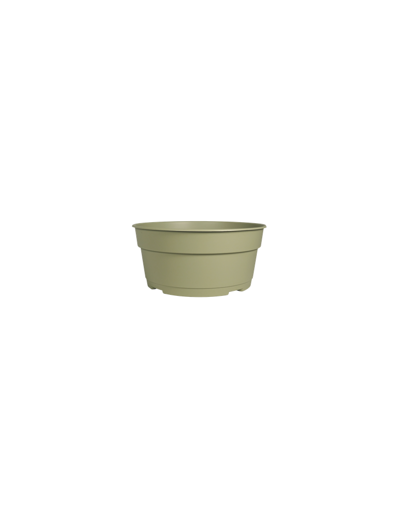 COUPE JADE