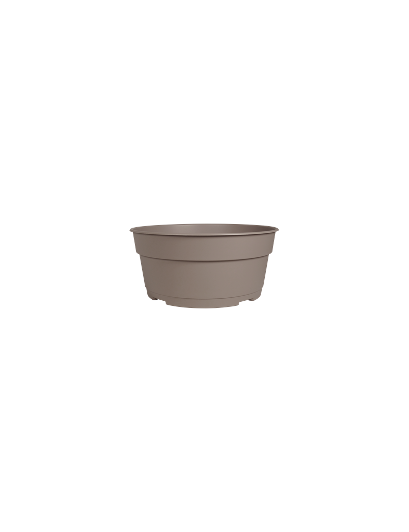 COUPE JADE