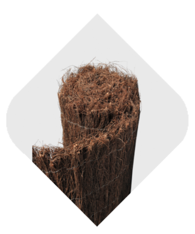 CANISSE BRUYERE ECOLO