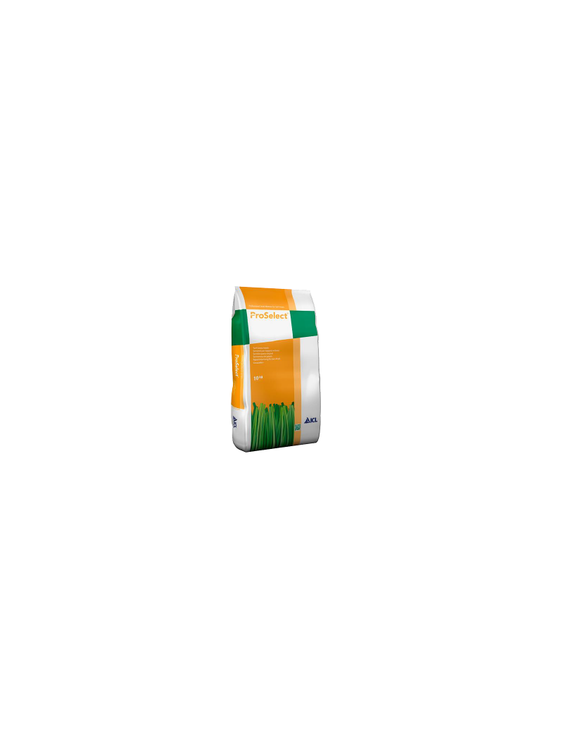 GAZON SPORTS ET JEUX