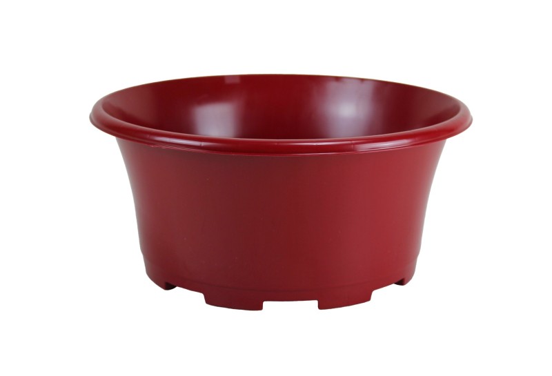 COUPE EOLE