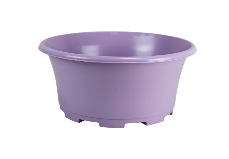 COUPE EOLE
