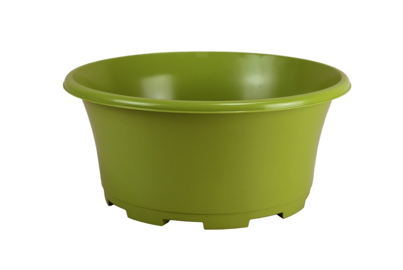 COUPE EOLE