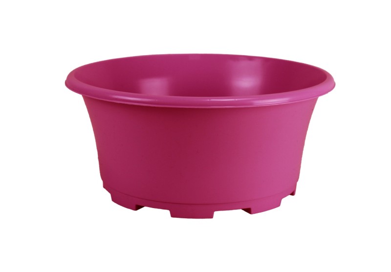 COUPE EOLE