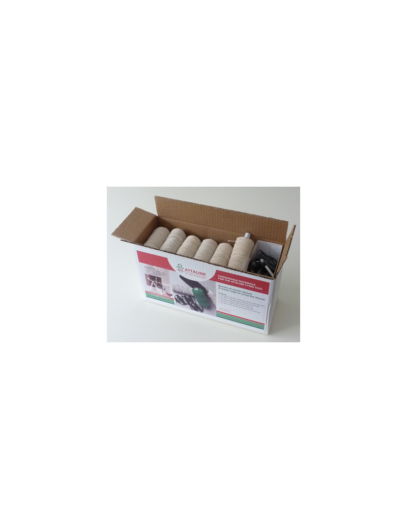PACK 24 PELOTES FICELLE ECRU + 18 RLX METAL