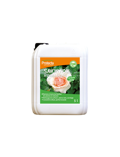 SAVON NOIR  5L