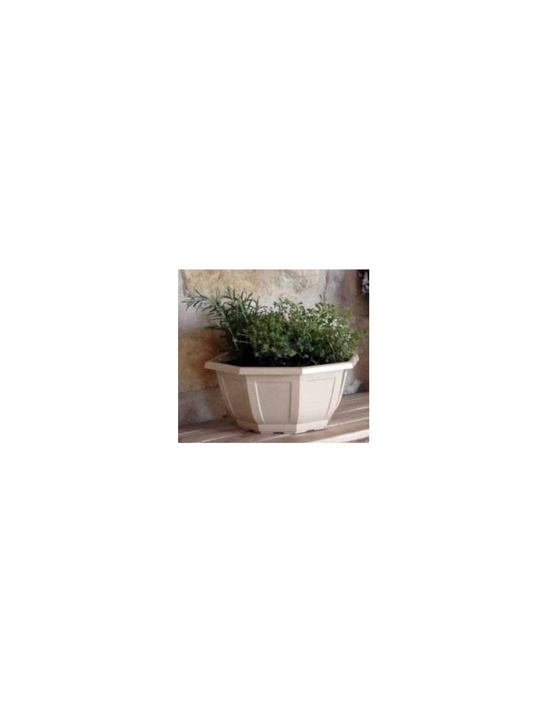 COUPE MYRELDA
