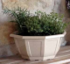 COUPE MYRELDA
