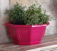 COUPE MYRELDA