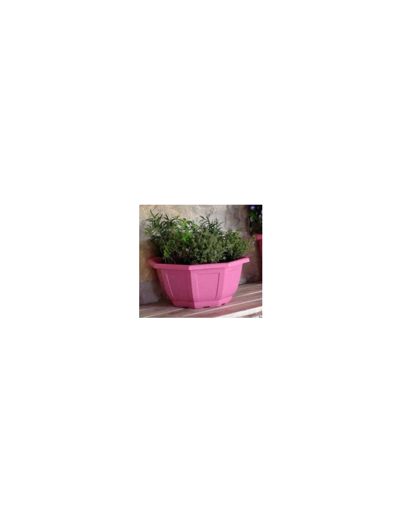 COUPE MYRELDA