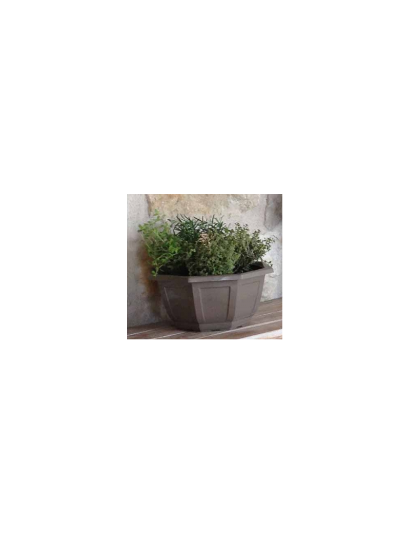 COUPE MYRELDA