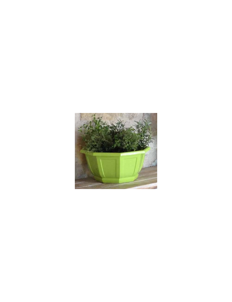 COUPE MYRELDA