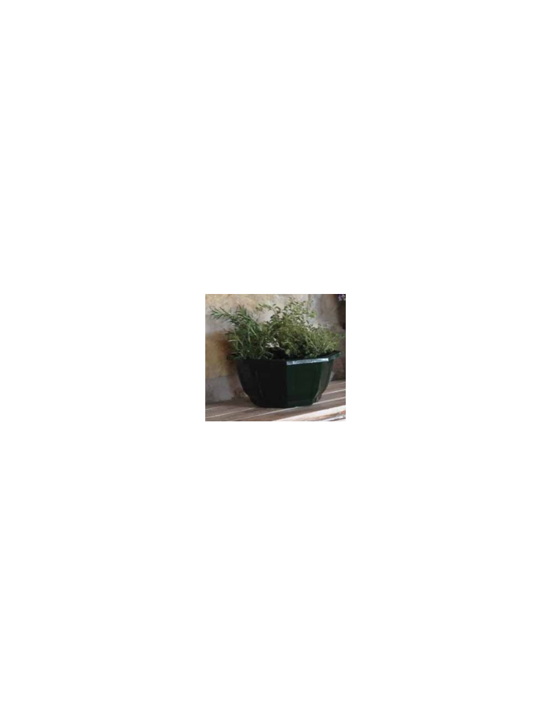COUPE MYRELDA