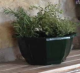 COUPE MYRELDA