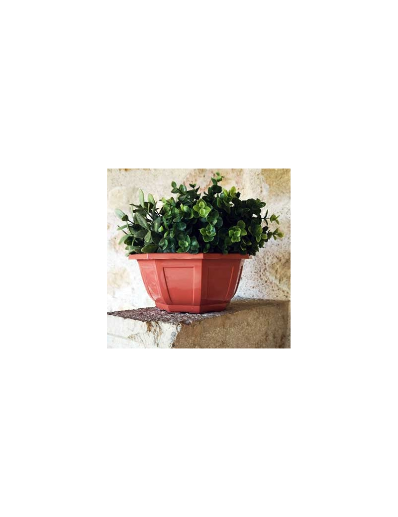 COUPE MYRELDA