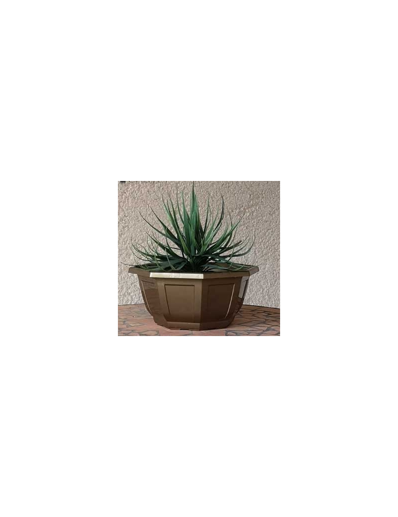 COUPE MYRELDA