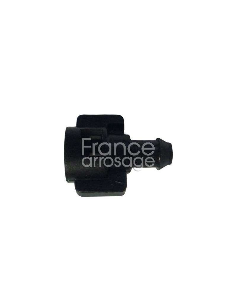 EMBOUT F TÊTE VIPERE 5 x 7 - NAANDANJAIN